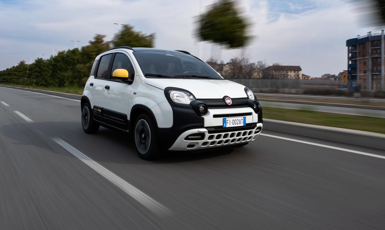 Fiat Panda Pandina Front/Seite in Fahrt