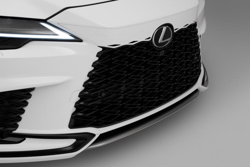 Lexus RX Grill