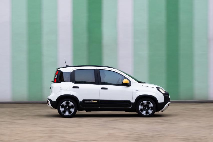 Fiat Panda Pandina Seite