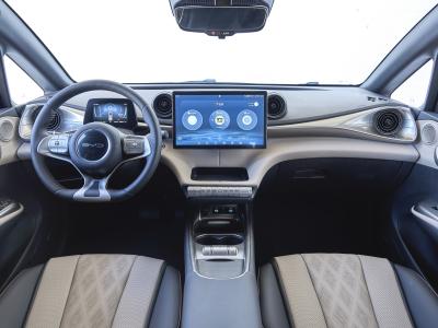 BYD Dolphin Cockpit